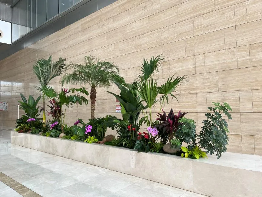 镇海盆景出租，贴心服务，给你别样绿植体验！